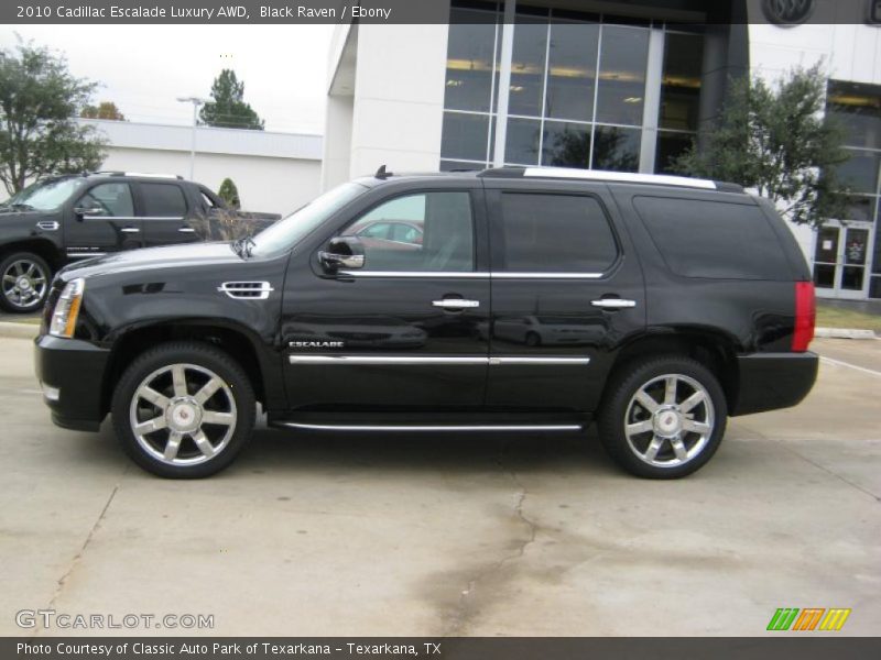 Black Raven / Ebony 2010 Cadillac Escalade Luxury AWD