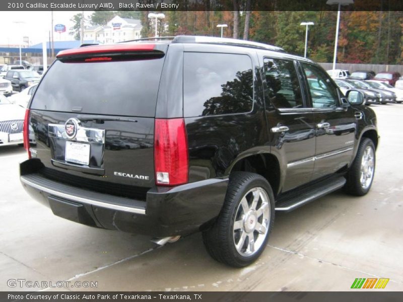 Black Raven / Ebony 2010 Cadillac Escalade Luxury AWD