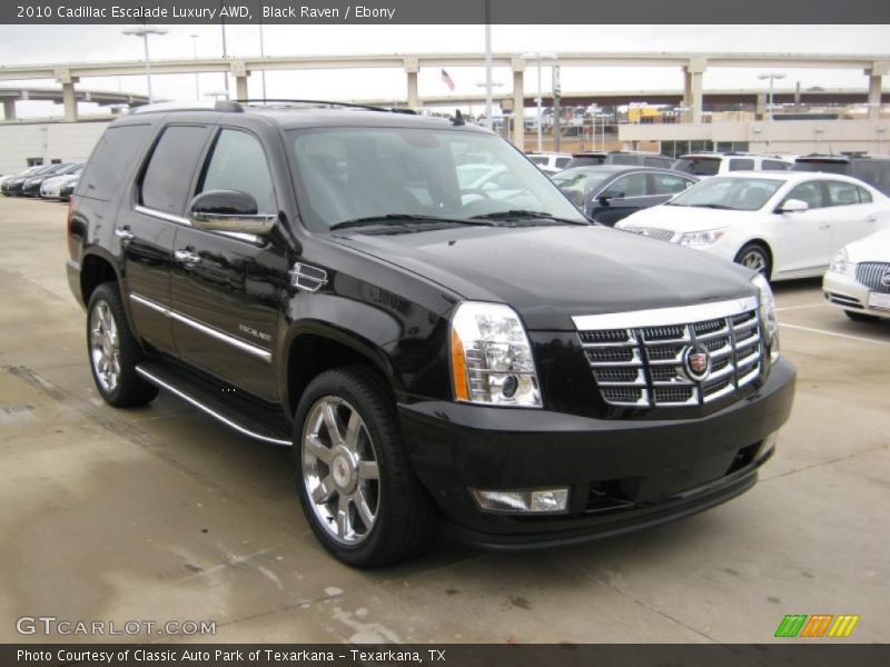 Black Raven / Ebony 2010 Cadillac Escalade Luxury AWD