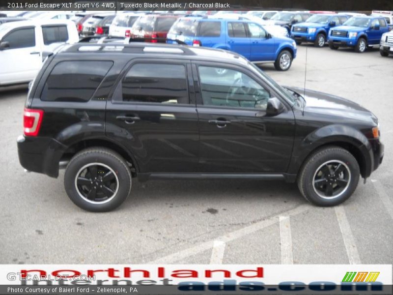 Tuxedo Black Metallic / Charcoal Black 2011 Ford Escape XLT Sport V6 4WD