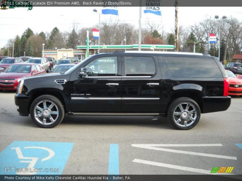 Black Raven / Ebony/Ebony 2011 Cadillac Escalade ESV Premium AWD