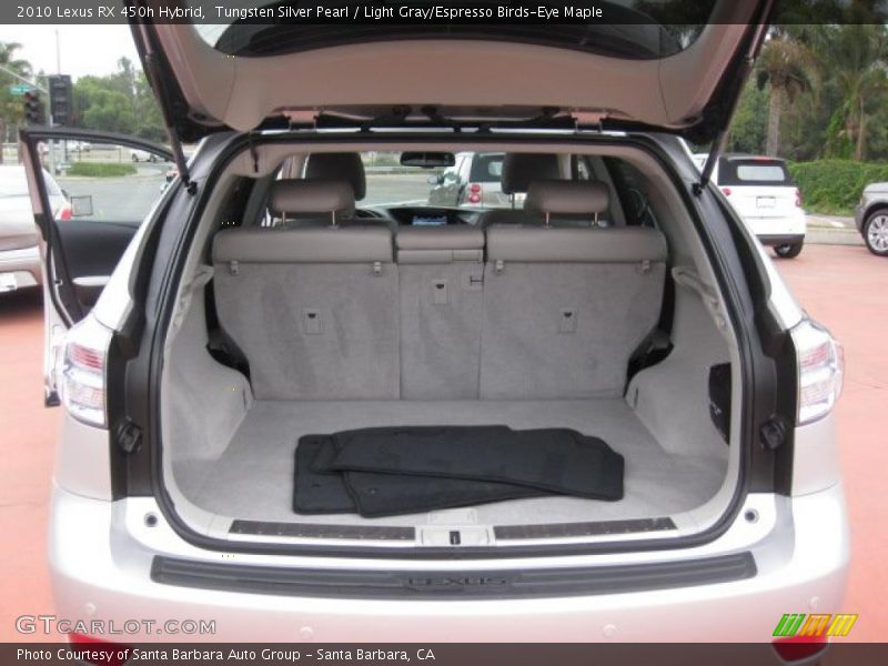  2010 RX 450h Hybrid Trunk