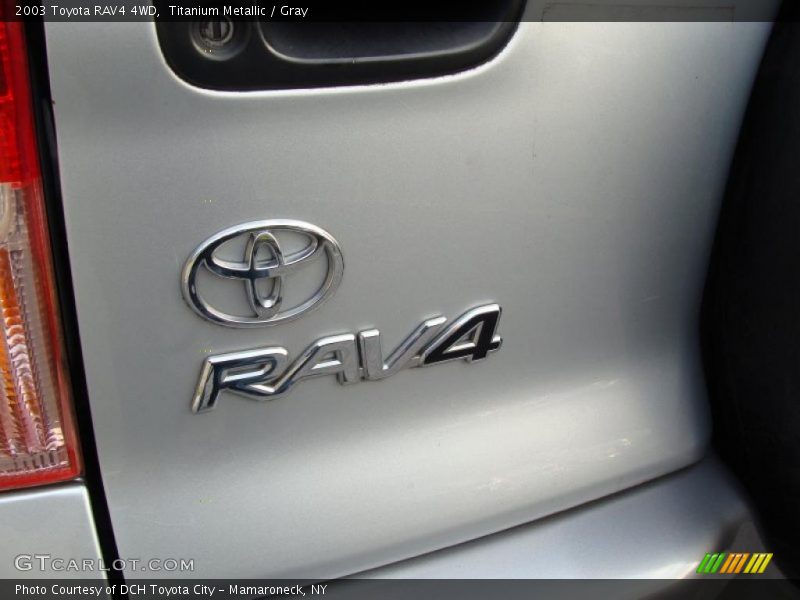 Titanium Metallic / Gray 2003 Toyota RAV4 4WD