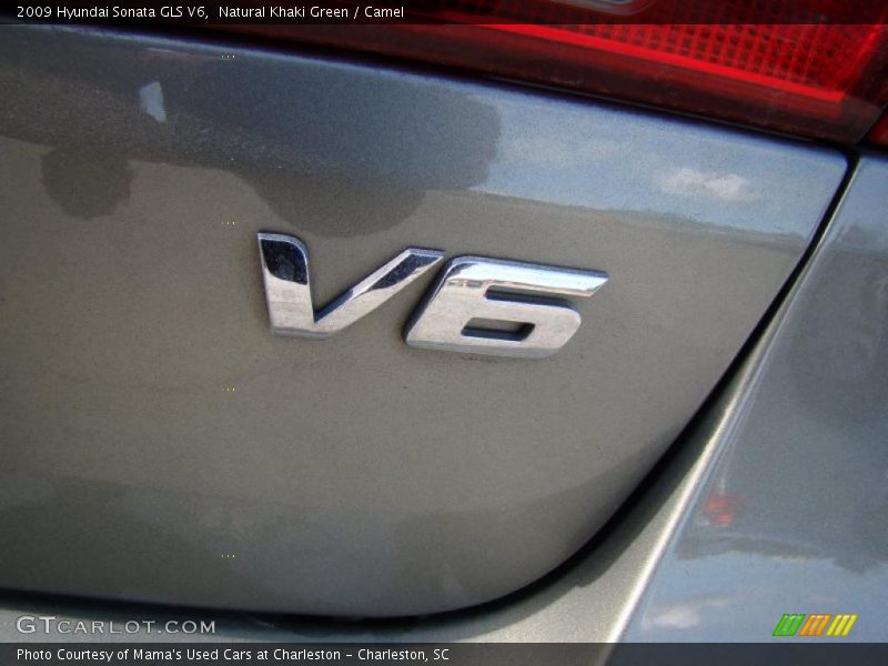Natural Khaki Green / Camel 2009 Hyundai Sonata GLS V6