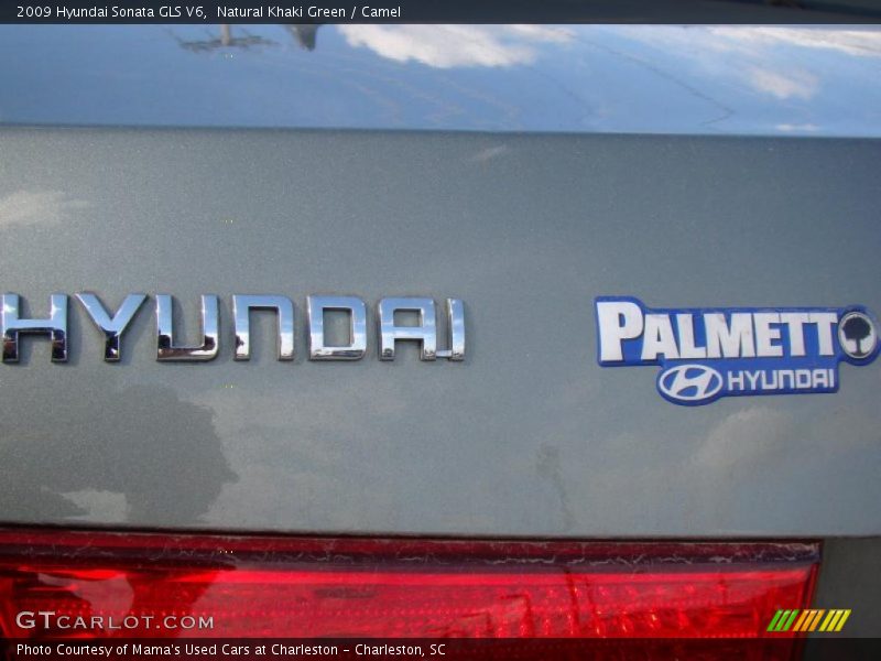 Natural Khaki Green / Camel 2009 Hyundai Sonata GLS V6
