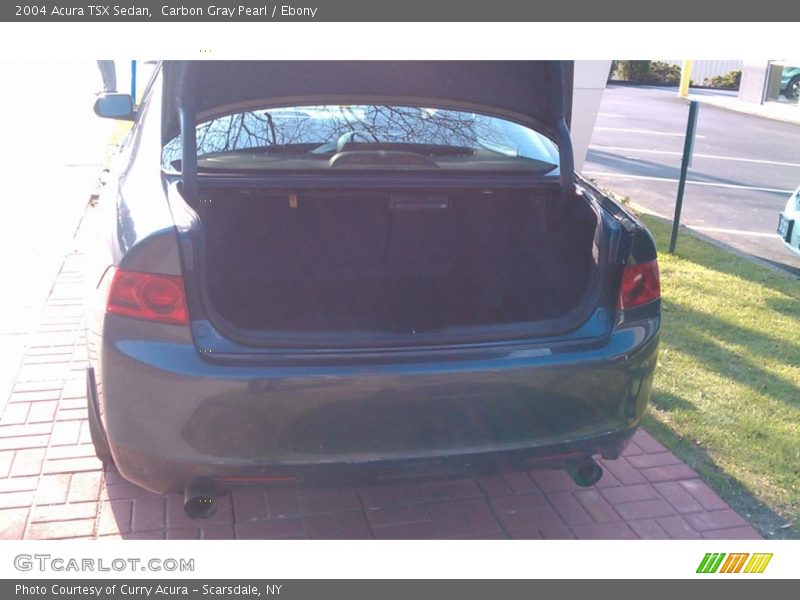 Carbon Gray Pearl / Ebony 2004 Acura TSX Sedan