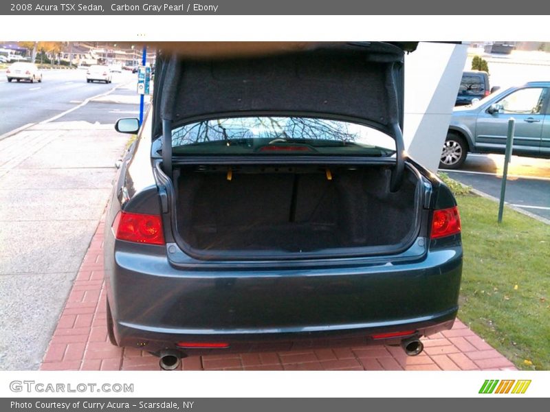 Carbon Gray Pearl / Ebony 2008 Acura TSX Sedan