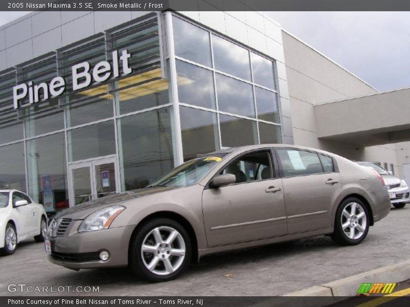 Smoke Metallic / Frost 2005 Nissan Maxima 3.5 SE