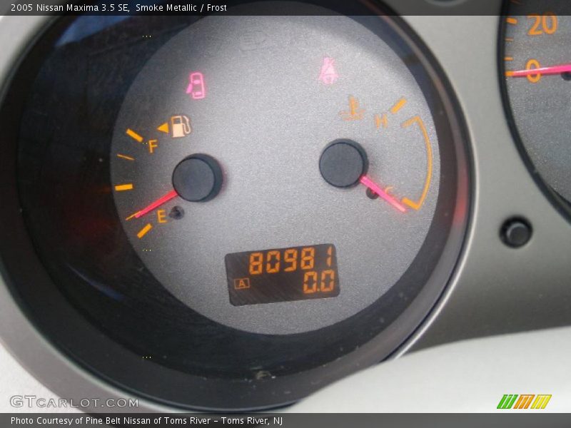 Smoke Metallic / Frost 2005 Nissan Maxima 3.5 SE