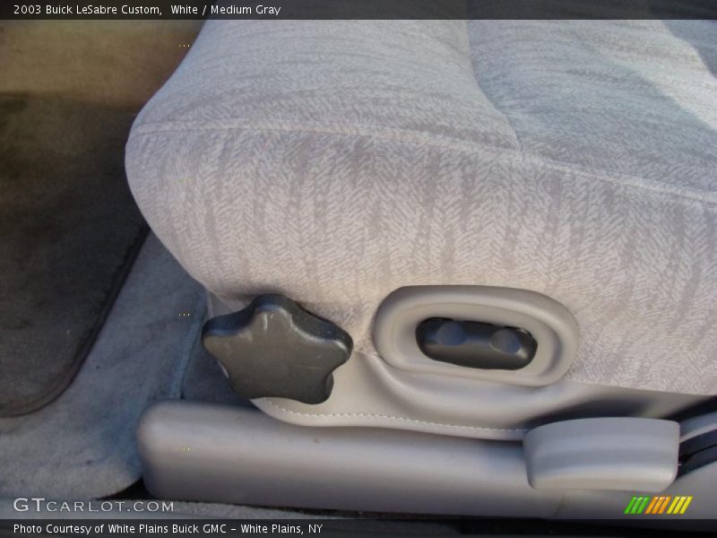 White / Medium Gray 2003 Buick LeSabre Custom