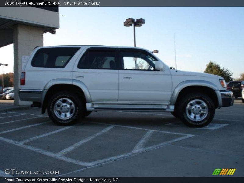Natural White / Gray 2000 Toyota 4Runner SR5 4x4