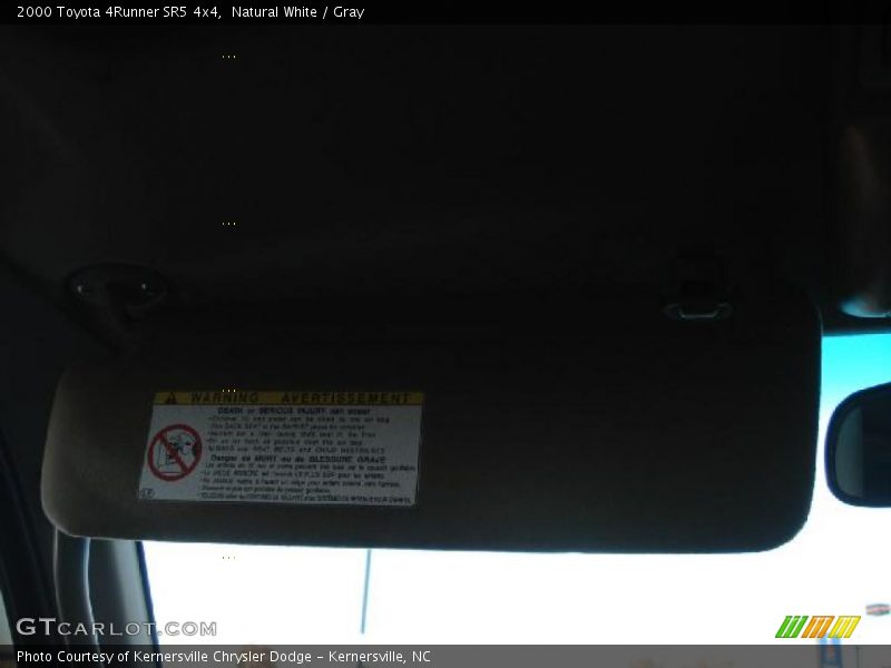 Natural White / Gray 2000 Toyota 4Runner SR5 4x4