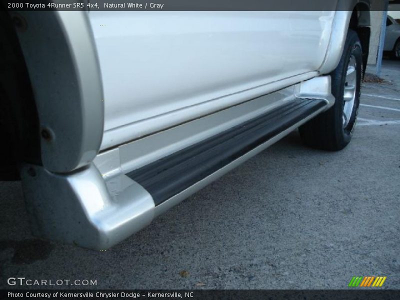 Natural White / Gray 2000 Toyota 4Runner SR5 4x4