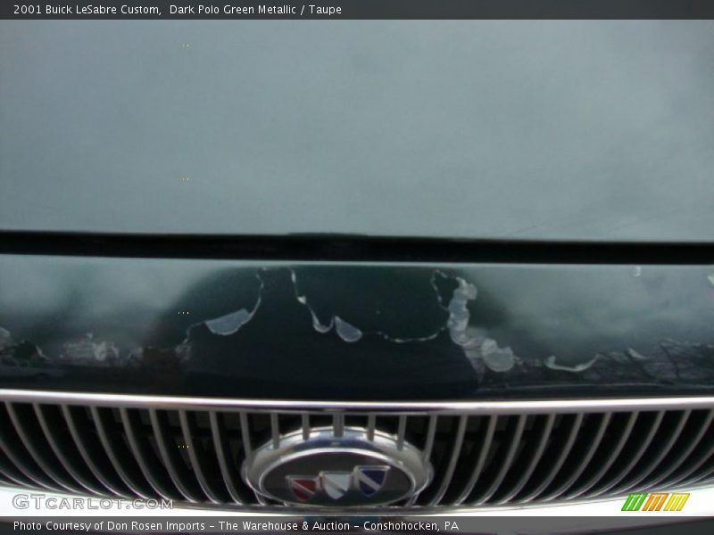 Dark Polo Green Metallic / Taupe 2001 Buick LeSabre Custom