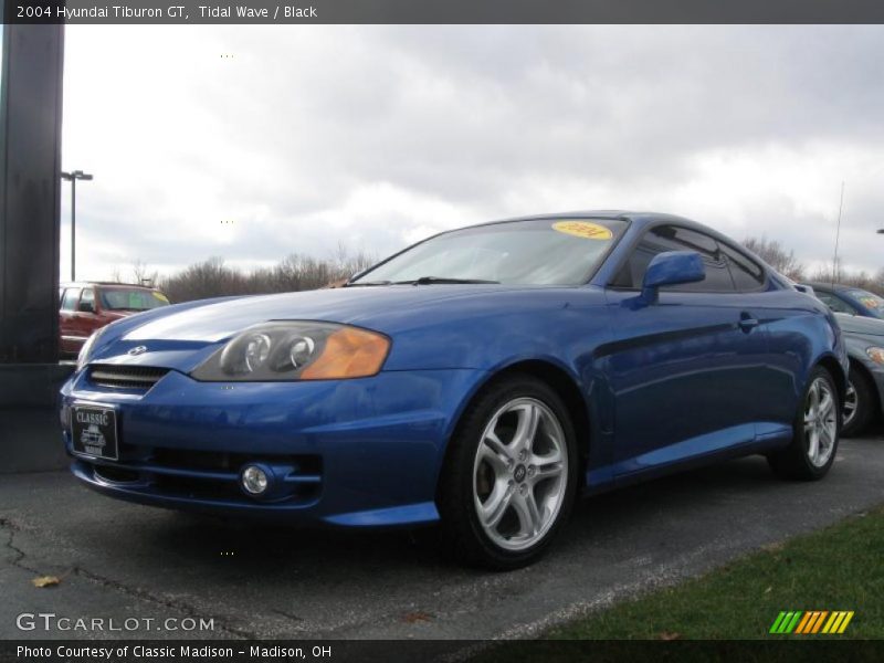 Tidal Wave / Black 2004 Hyundai Tiburon GT