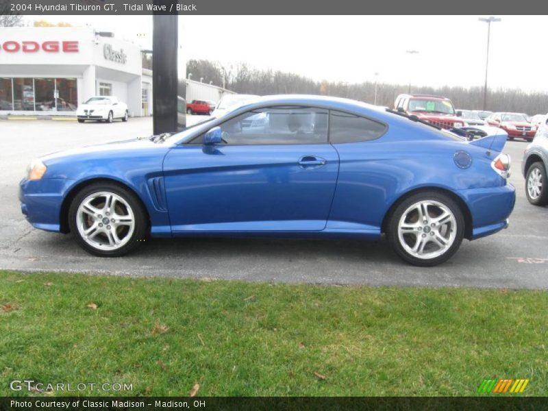 Tidal Wave / Black 2004 Hyundai Tiburon GT