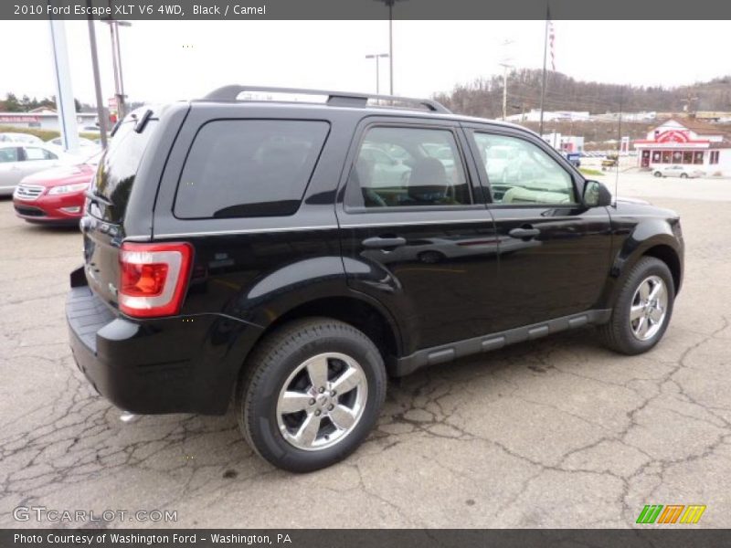 Black / Camel 2010 Ford Escape XLT V6 4WD