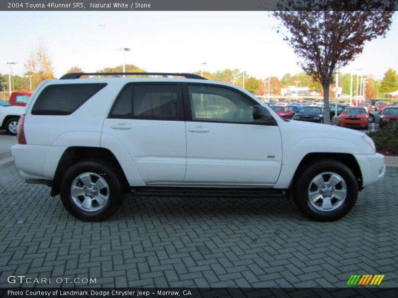 Natural White / Stone 2004 Toyota 4Runner SR5