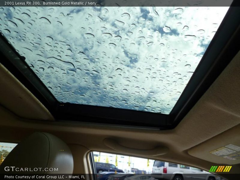 Burnished Gold Metallic / Ivory 2001 Lexus RX 300