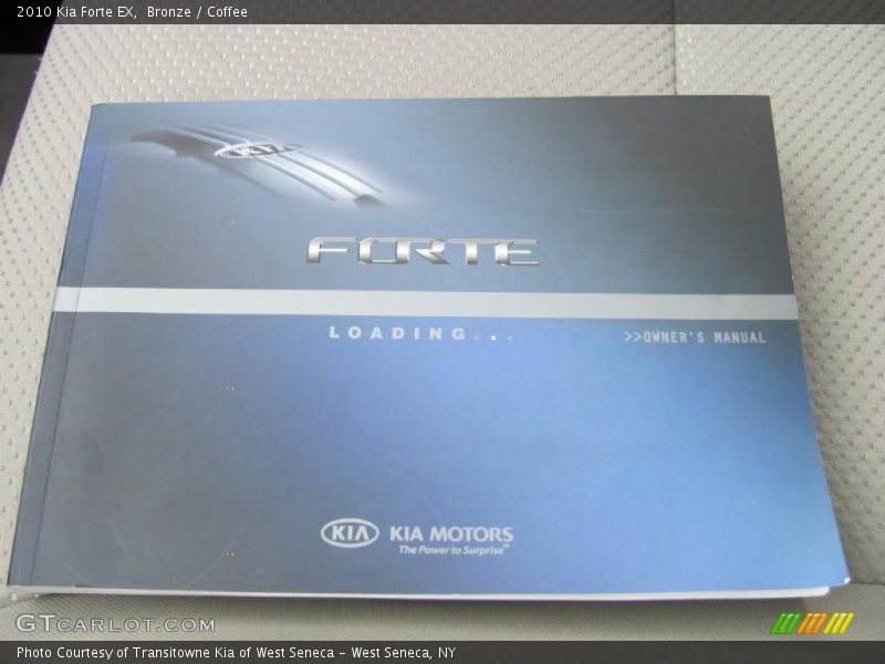 Bronze / Coffee 2010 Kia Forte EX