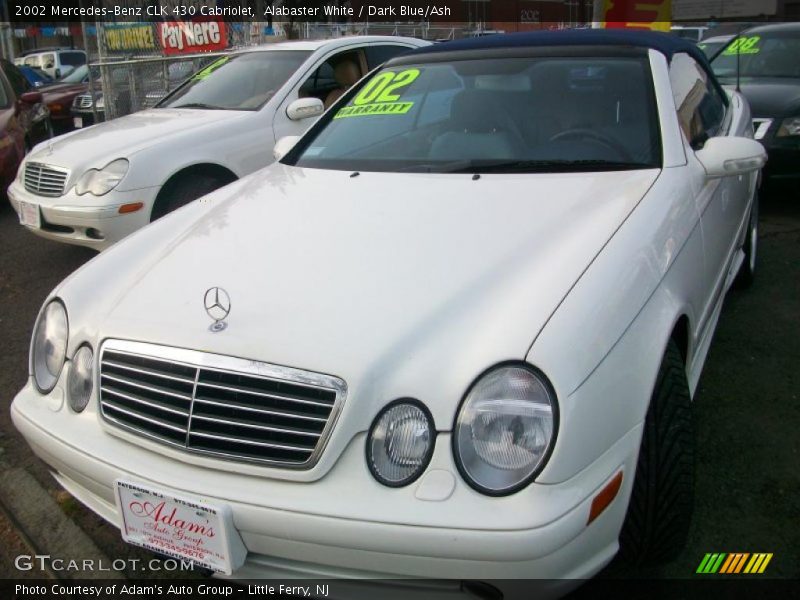 Alabaster White / Dark Blue/Ash 2002 Mercedes-Benz CLK 430 Cabriolet
