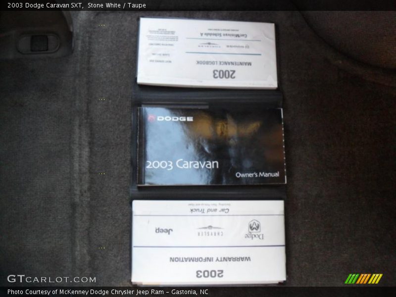 Stone White / Taupe 2003 Dodge Caravan SXT