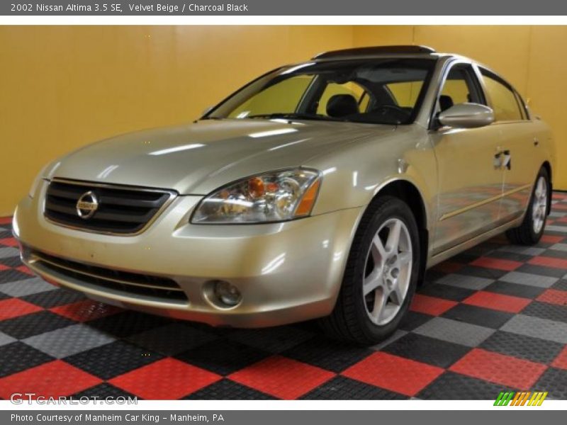 Velvet Beige / Charcoal Black 2002 Nissan Altima 3.5 SE