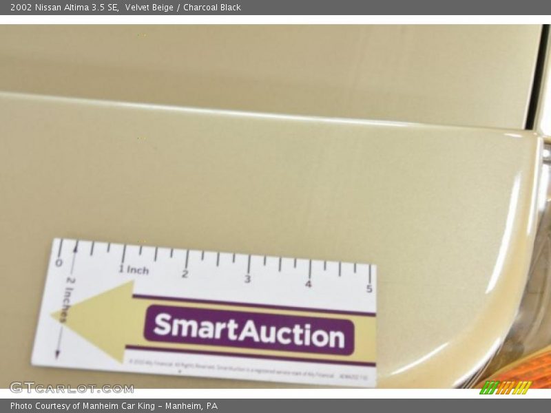Velvet Beige / Charcoal Black 2002 Nissan Altima 3.5 SE