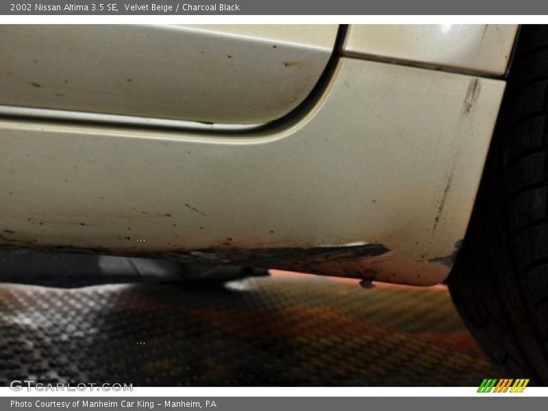 Velvet Beige / Charcoal Black 2002 Nissan Altima 3.5 SE