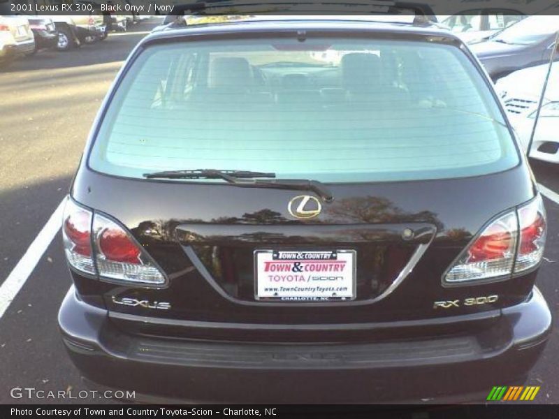 Black Onyx / Ivory 2001 Lexus RX 300