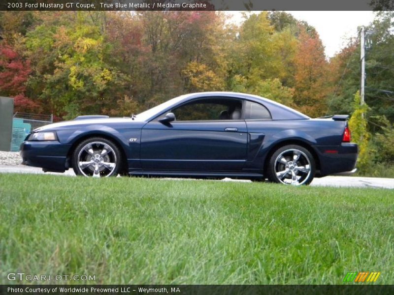 True Blue Metallic / Medium Graphite 2003 Ford Mustang GT Coupe