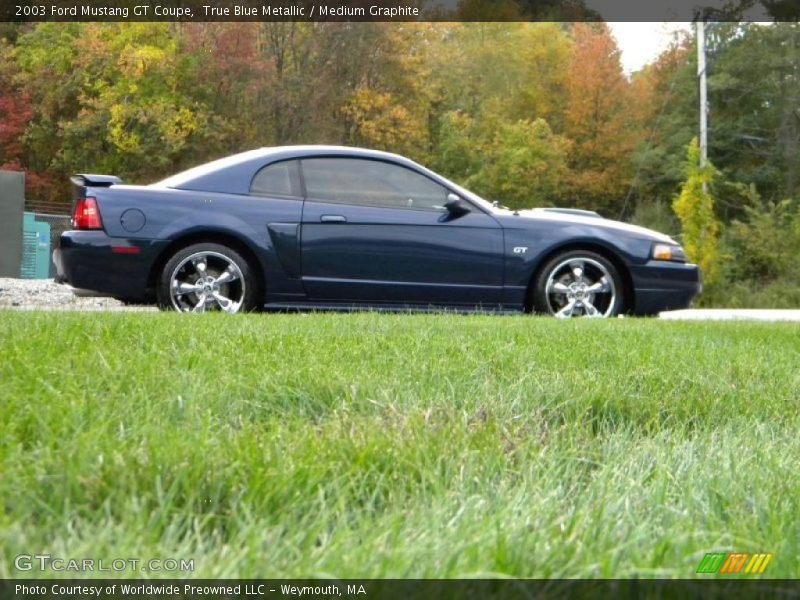 True Blue Metallic / Medium Graphite 2003 Ford Mustang GT Coupe