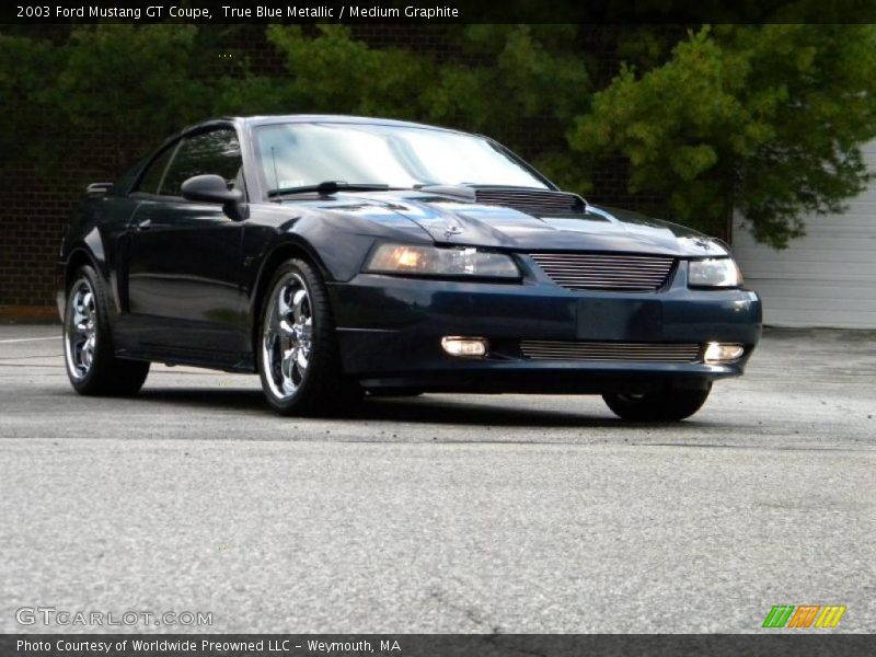 True Blue Metallic / Medium Graphite 2003 Ford Mustang GT Coupe