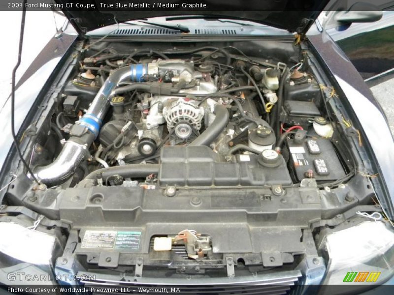 2003 Mustang GT Coupe Engine - 4.6 Liter SOHC 16-Valve V8