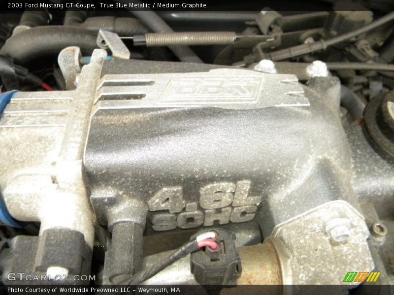 True Blue Metallic / Medium Graphite 2003 Ford Mustang GT Coupe