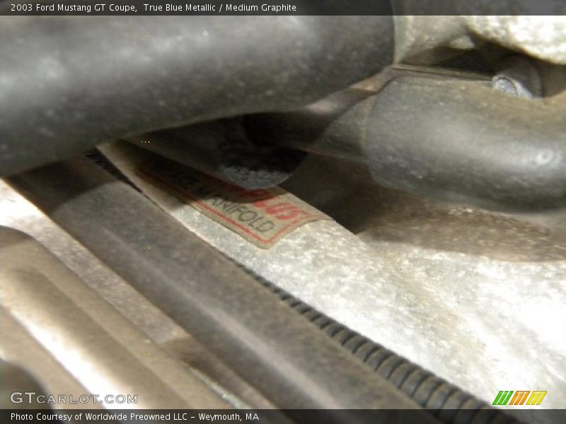 True Blue Metallic / Medium Graphite 2003 Ford Mustang GT Coupe