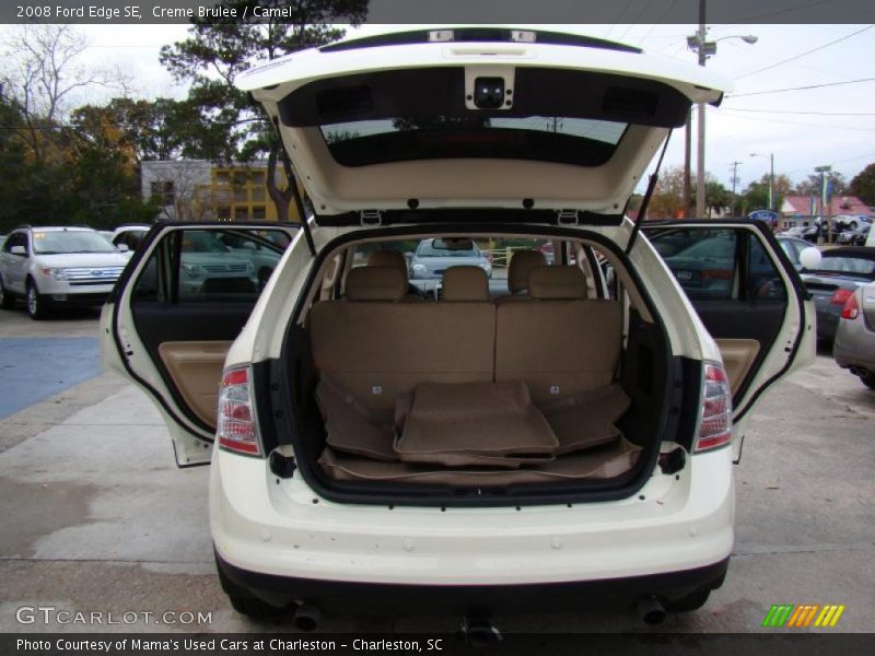 Creme Brulee / Camel 2008 Ford Edge SE