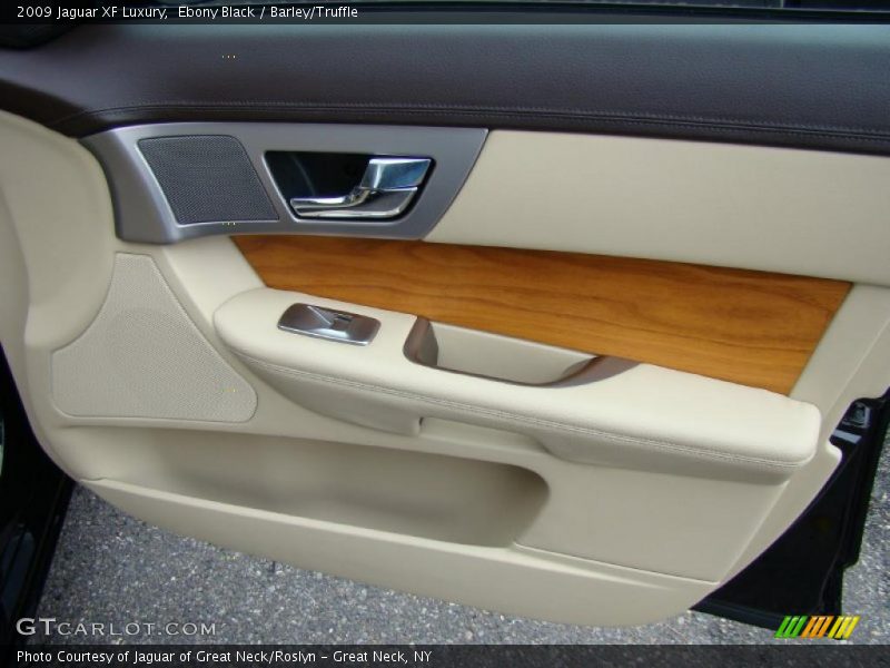 Door Panel of 2009 XF Luxury