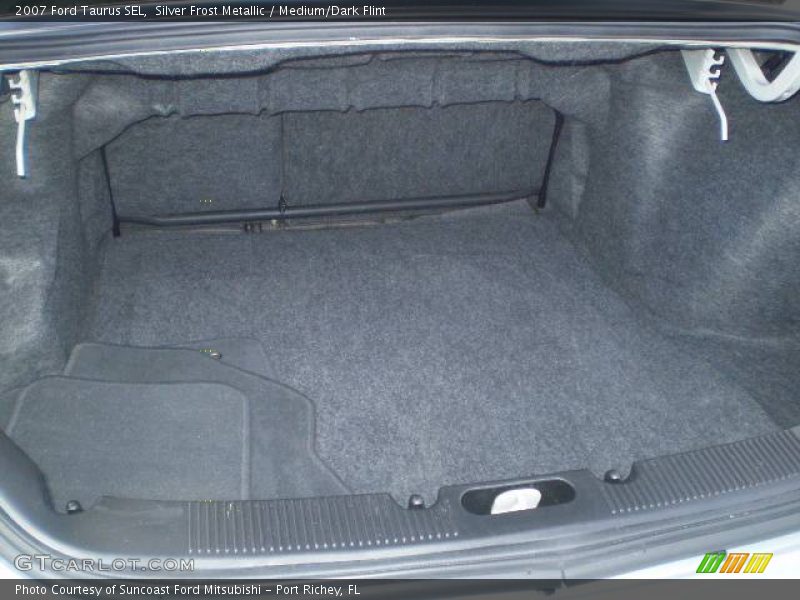 Silver Frost Metallic / Medium/Dark Flint 2007 Ford Taurus SEL