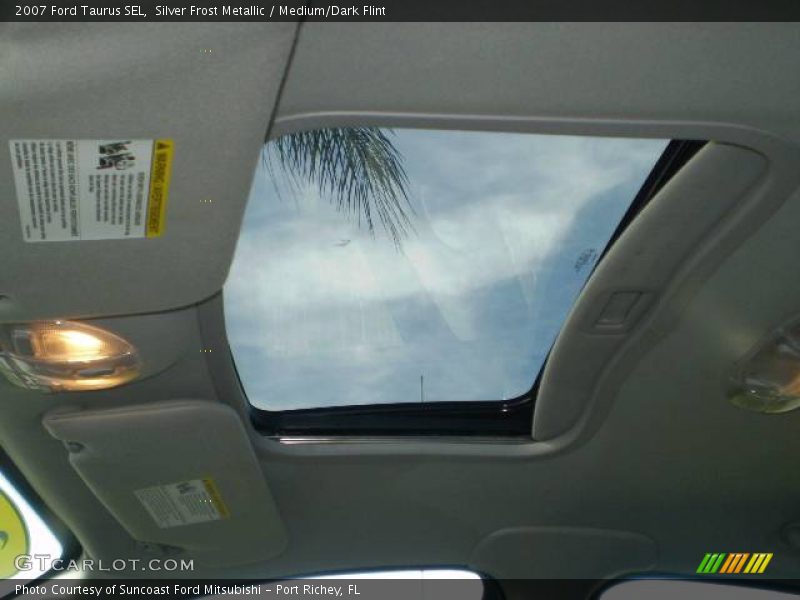 Silver Frost Metallic / Medium/Dark Flint 2007 Ford Taurus SEL