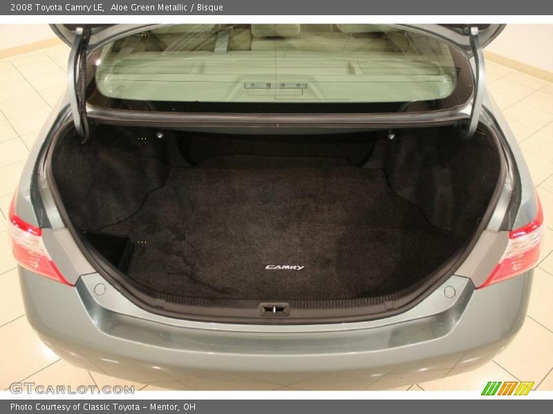 Aloe Green Metallic / Bisque 2008 Toyota Camry LE