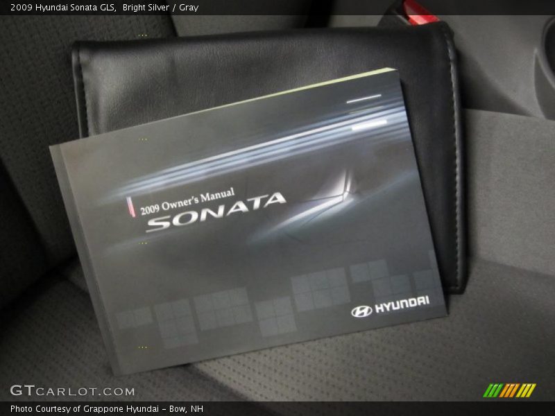 Bright Silver / Gray 2009 Hyundai Sonata GLS