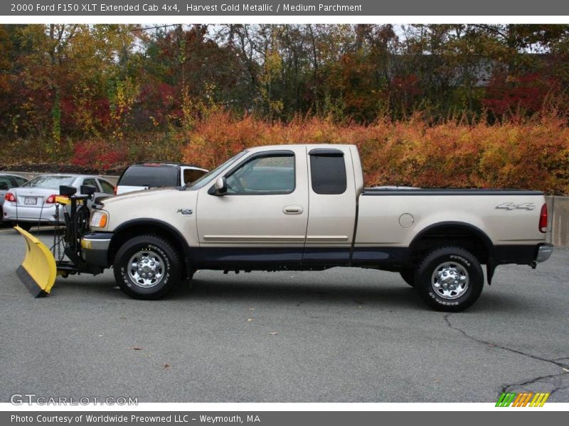 Harvest Gold Metallic / Medium Parchment 2000 Ford F150 XLT Extended Cab 4x4