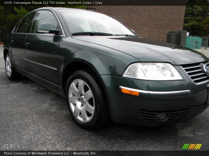 Northern Green / Grey 2005 Volkswagen Passat GLS TDI Sedan