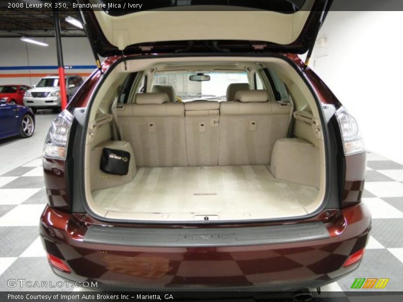Brandywine Mica / Ivory 2008 Lexus RX 350