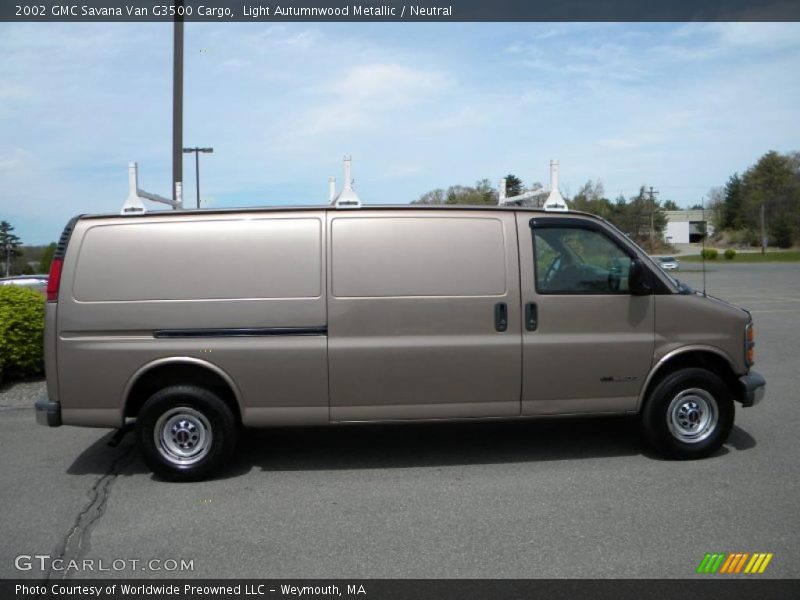 Light Autumnwood Metallic / Neutral 2002 GMC Savana Van G3500 Cargo