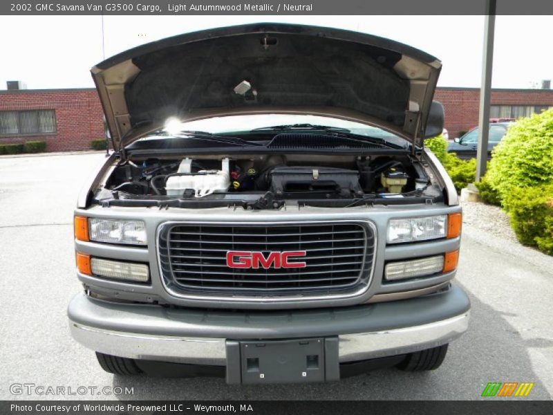Light Autumnwood Metallic / Neutral 2002 GMC Savana Van G3500 Cargo