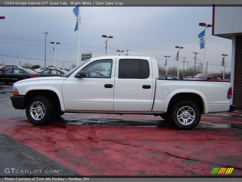 Bright White / Dark Slate Gray 2004 Dodge Dakota SXT Quad Cab