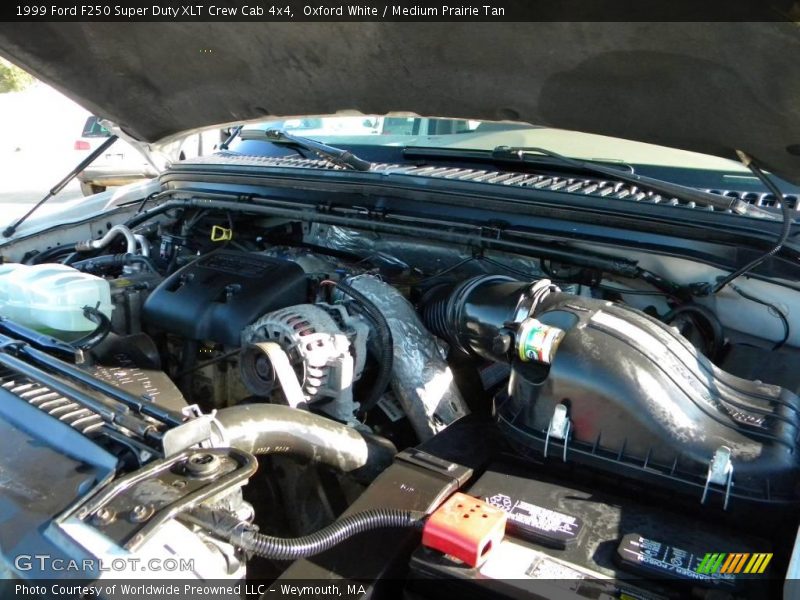 Oxford White / Medium Prairie Tan 1999 Ford F250 Super Duty XLT Crew Cab 4x4