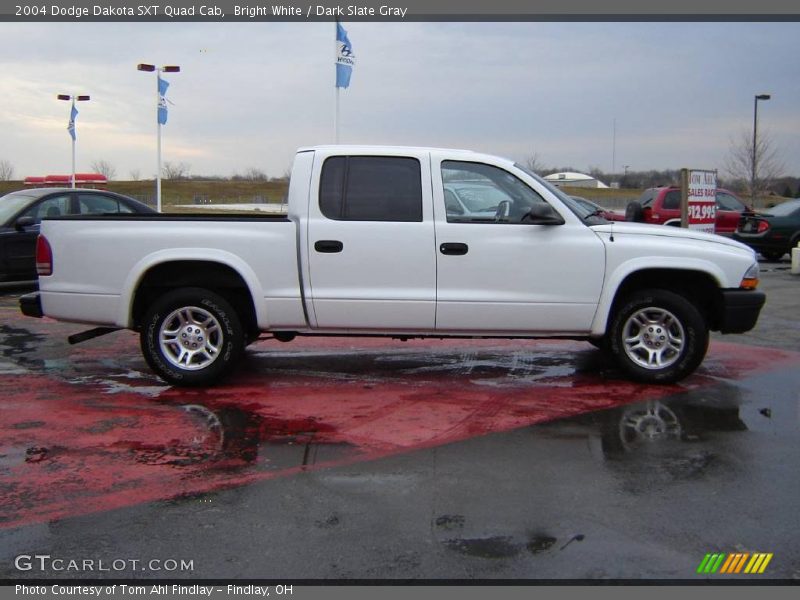 Bright White / Dark Slate Gray 2004 Dodge Dakota SXT Quad Cab